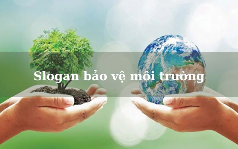 Slogan Bảo Vệ Môi Trường